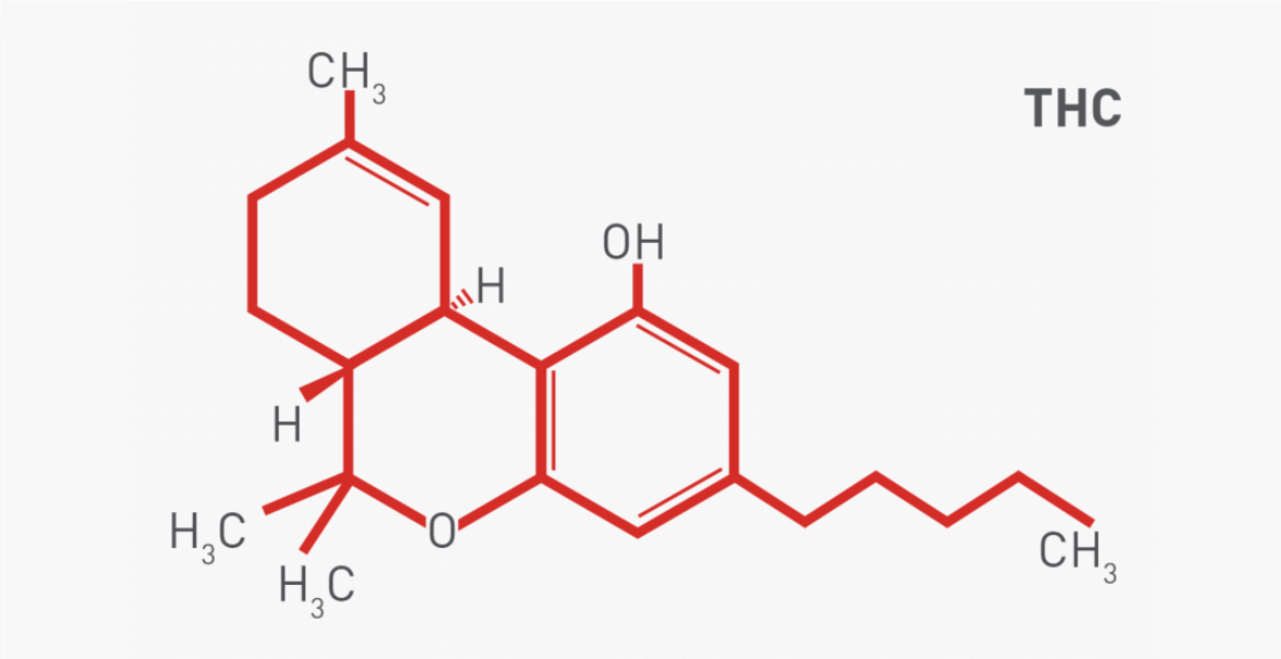 THC – Tetrahydrokannabinol